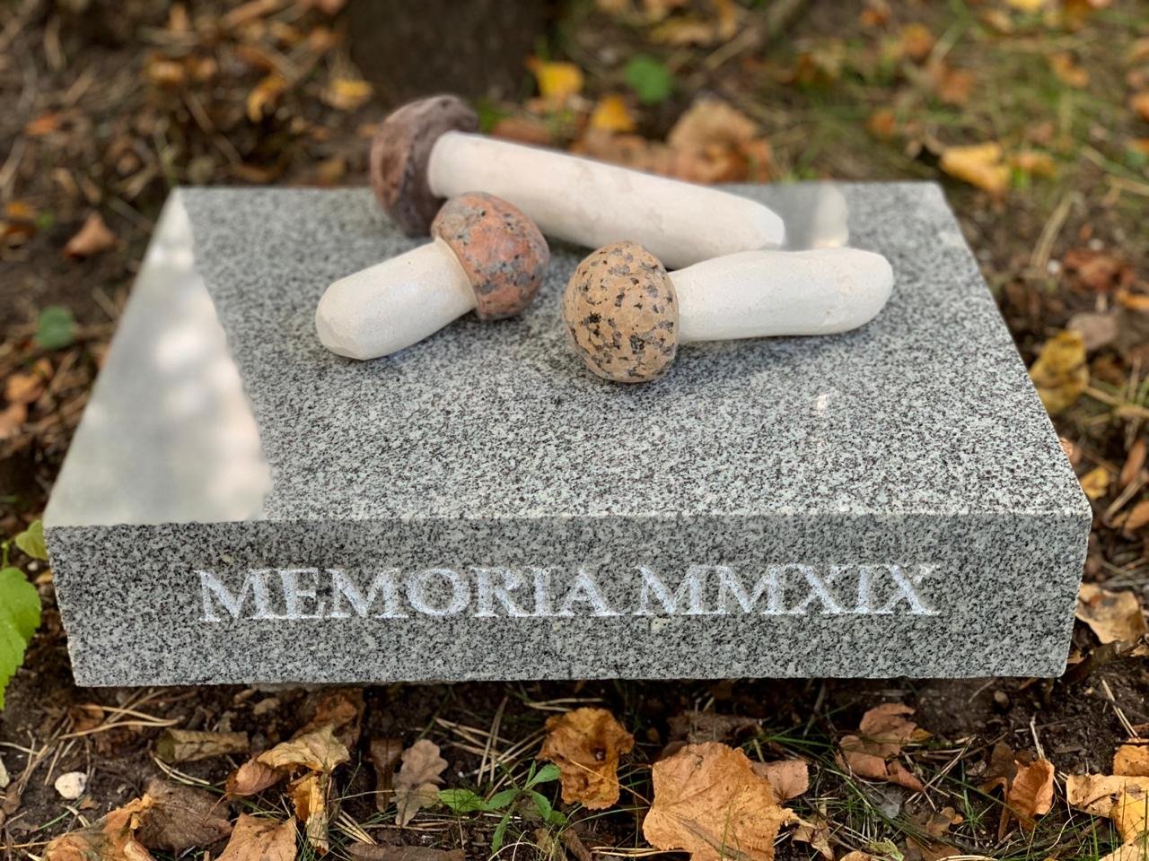 In memory of 2019. Birch mushrooms gravestone