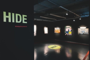 Выставка из коллекции новой галереи Hide
