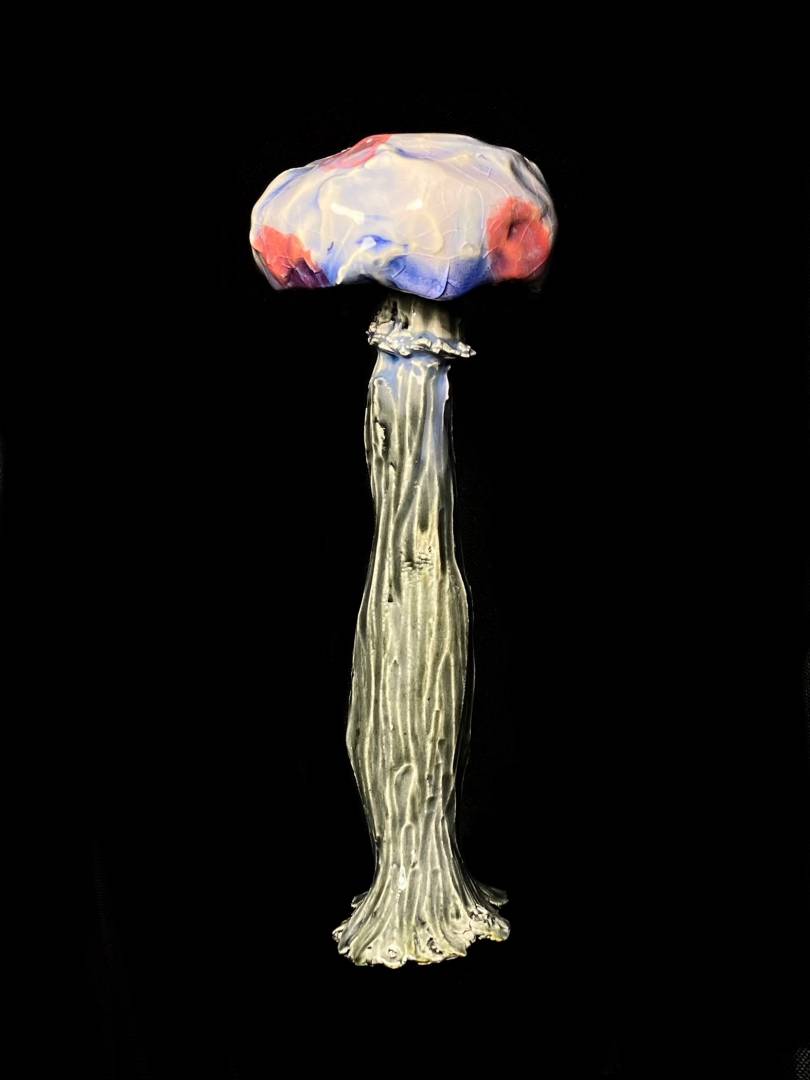 Fantastic mushroom, 2024