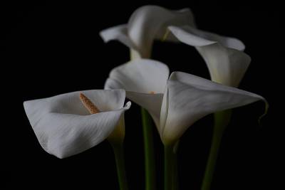 Выставка Людмилы Крутиковой и Валерия Орлова «Грани жизни/Грани формы»