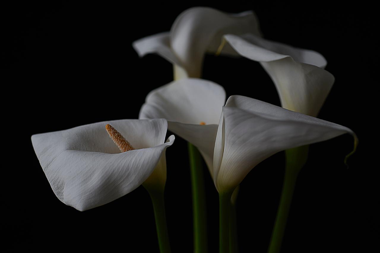 Выставка Людмилы Крутиковой и Валерия Орлова «Грани жизни/Грани формы»