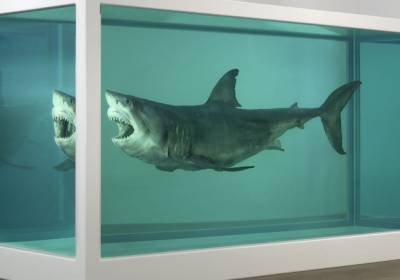 Лекции Виктории Шишковой «Как смотреть и понимать современное искусство: особенно, если ничего не понятно и не красиво»