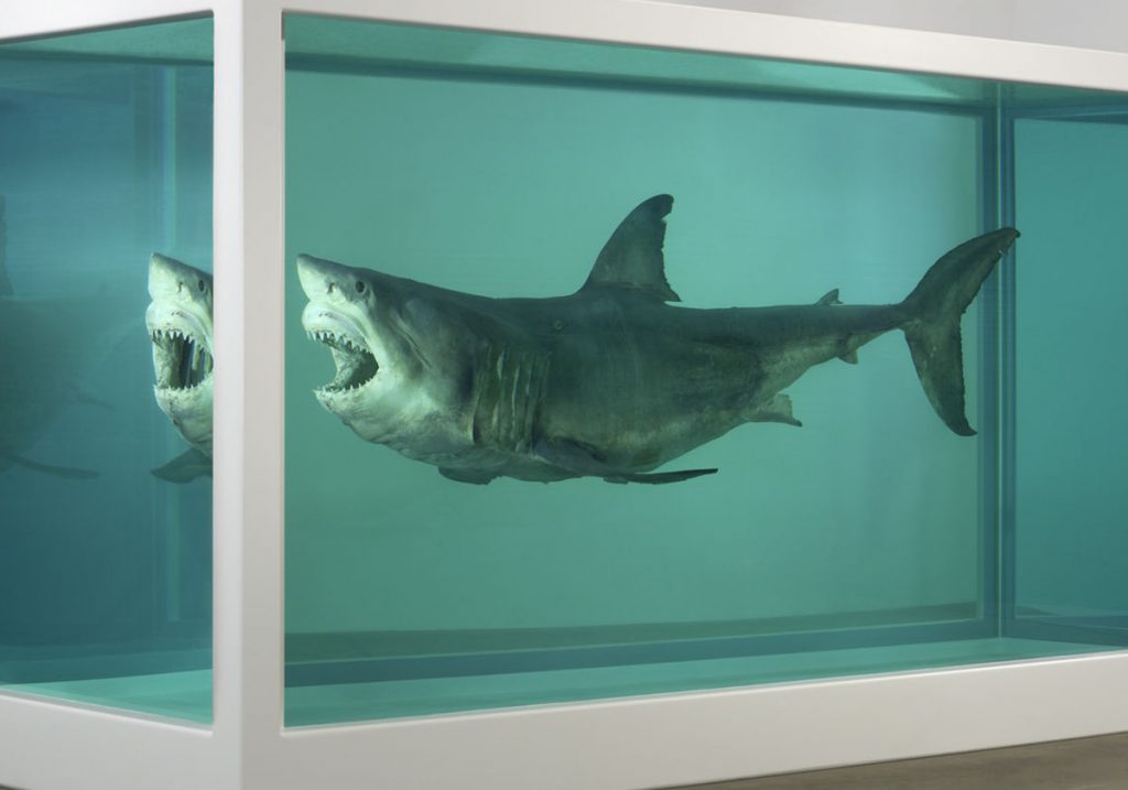 Лекции Виктории Шишковой «Как смотреть и понимать современное искусство: особенно, если ничего не понятно и не красиво»