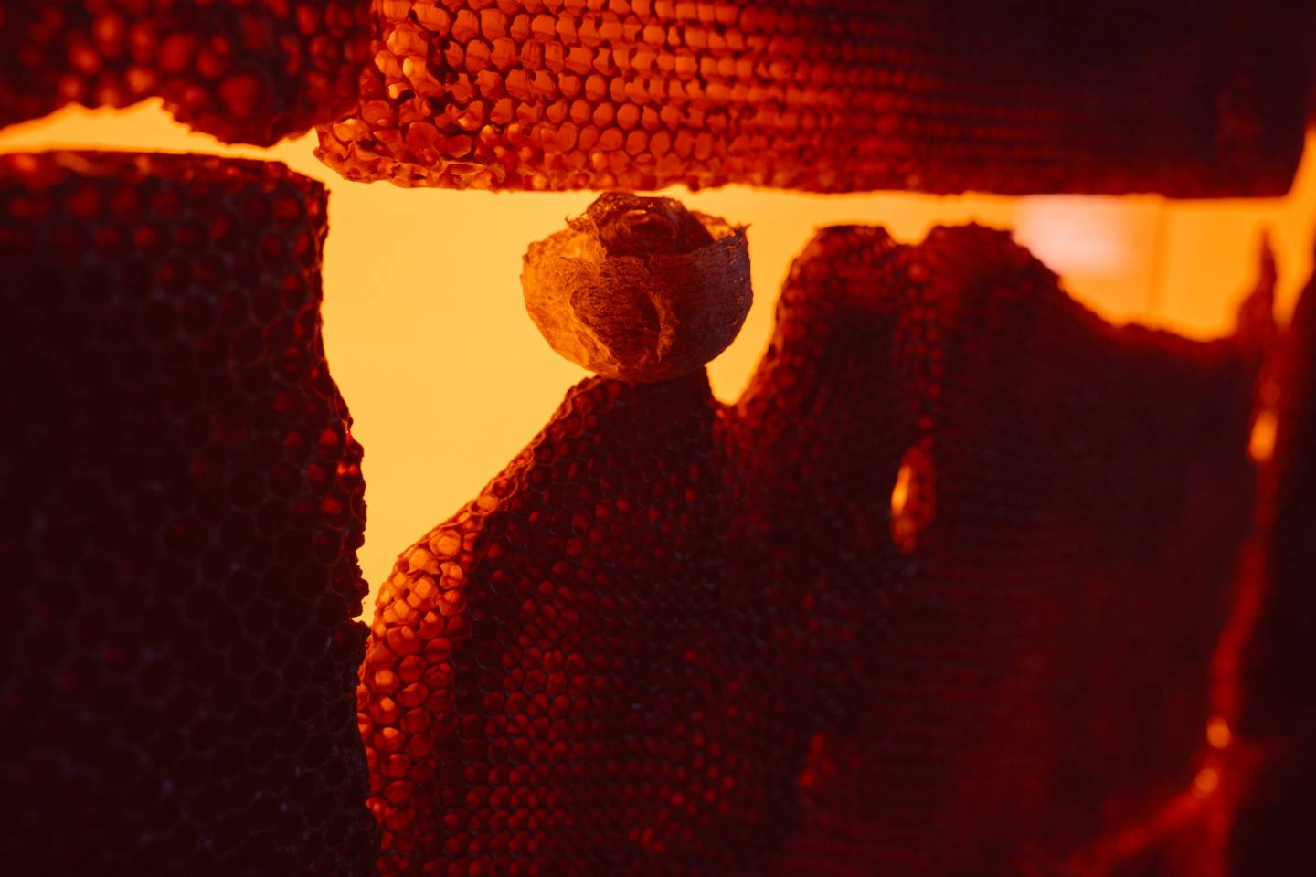 Персональный проект Инны Савченко «Источник»