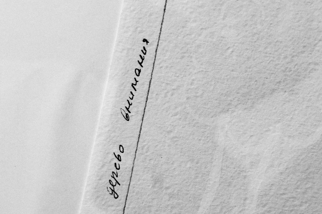 Персональная выставка Тины Шибаловой «Метод обнаружения»