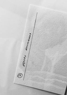 Персональная выставка Тины Шибаловой «Метод обнаружения»